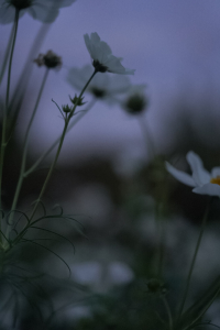 東大宮にあるカットが人気の美容室・美容院「Repos ルポ 東大宮」のブログ記事「冬の髪をやさしくリセット」